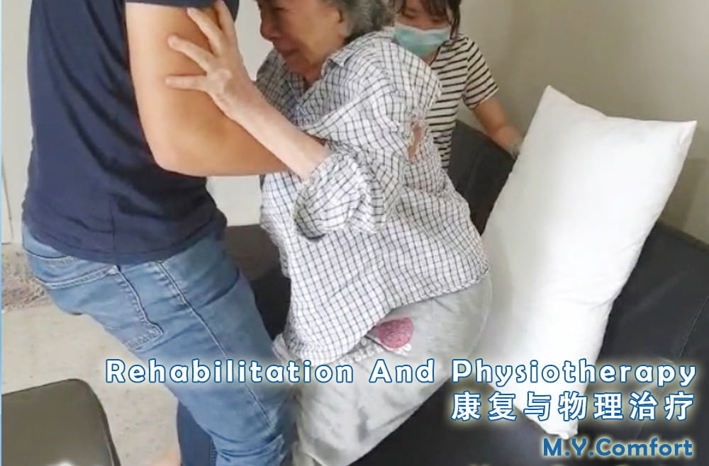 Rehabilitation And Physiotherapy 康复与物理治疗2
